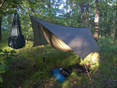 Hammock suspended from trees with rainfly and bug net.